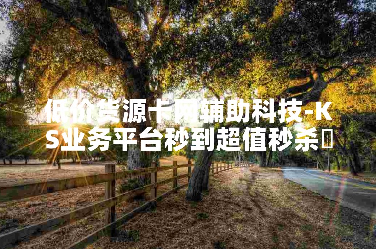 低价货源卡网辅助科技-KS业务平台秒到超值秒杀✨