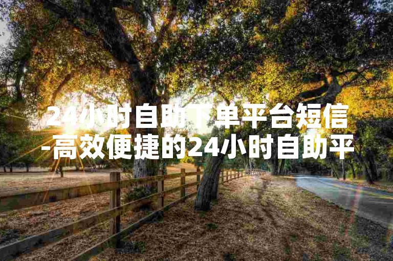 24小时自助下单平台短信-高效便捷的24小时自助平台✨✨