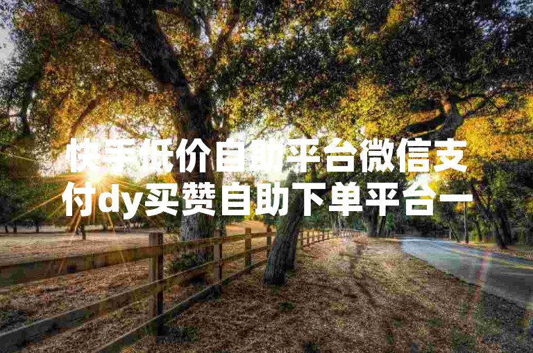 快手低价自助平台微信支付dy买赞自助下单平台一元✨