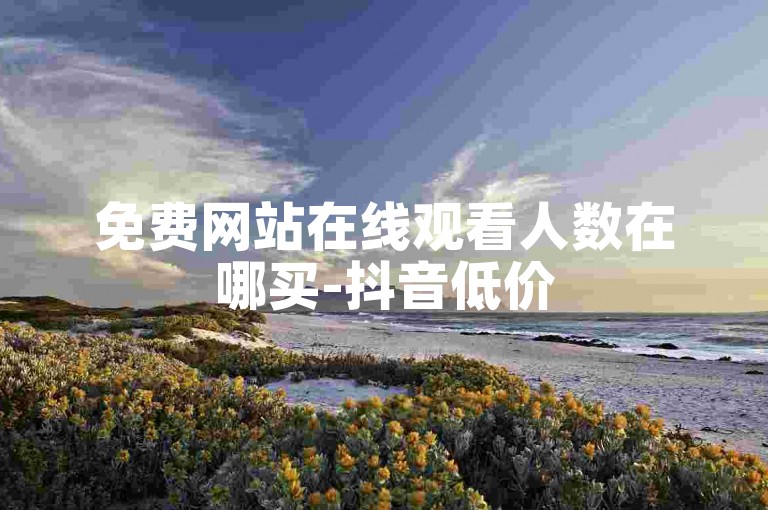 免费网站在线观看人数在哪买-抖音低价