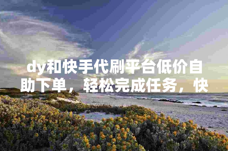dy和快手代刷平台低价自助下单，轻松完成任务，快来体验吧✨✨