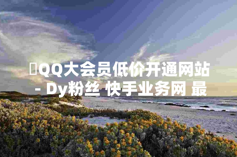 ✨QQ大会员低价开通网站 - Dy粉丝 快手业务网 最低价 ks自助平台业务下单真人