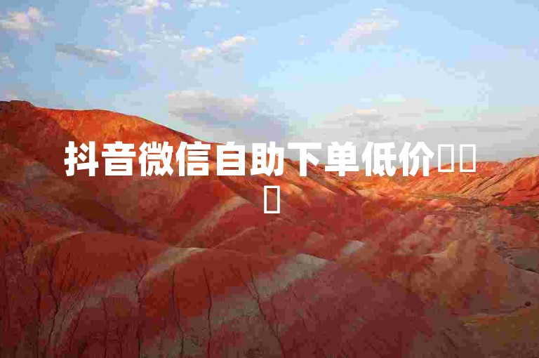 抖音微信自助下单低价✨✨✨