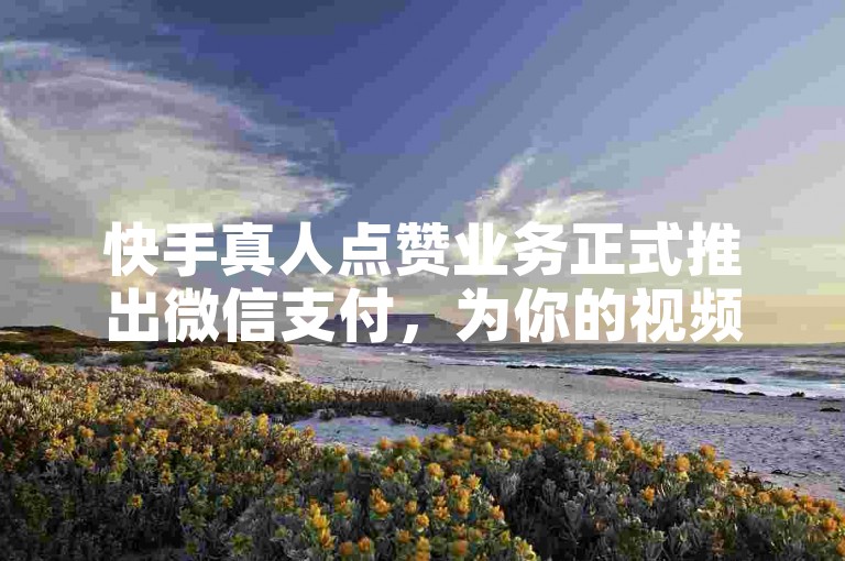 快手真人点赞业务正式推出微信支付，为你的视频带来更多真实点赞！