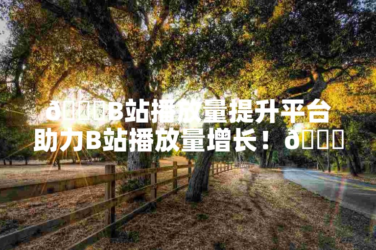 🚀B站播放量提升平台助力B站播放量增长！🚀🚀🚀