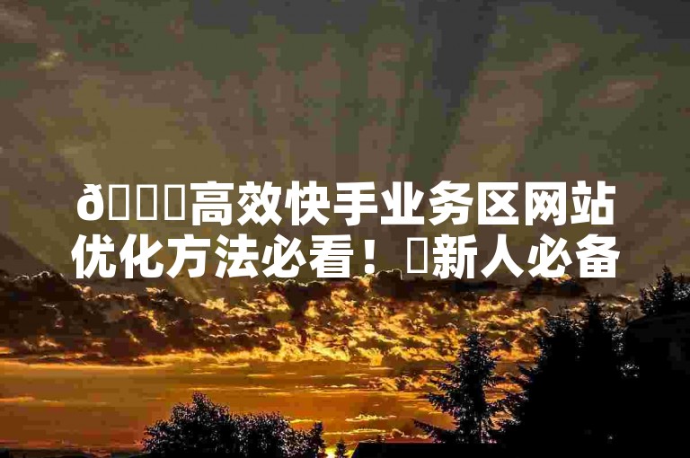 🚀高效快手业务区网站优化方法必看！✨新人必备！专业建议！🚀