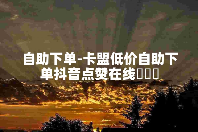 自助下单-卡盟低价自助下单抖音点赞在线✨✨✨
