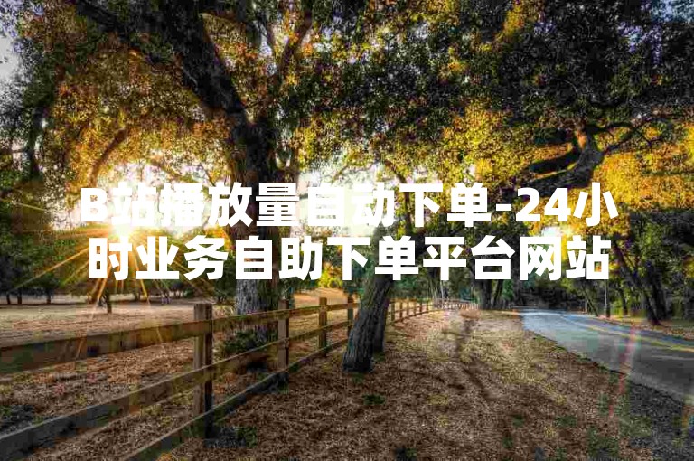 B站播放量自动下单-24小时业务自助下单平台网站