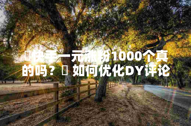 ✨快手一元涨粉1000个真的吗？✨ 如何优化DY评论提升SEO效果
