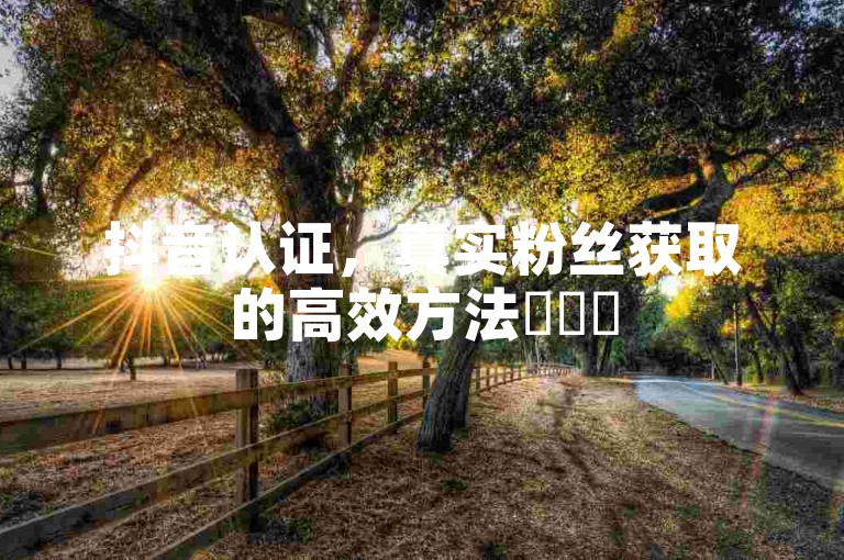 抖音认证，真实粉丝获取的高效方法✨✨✨