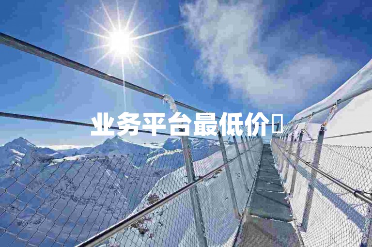 业务平台最低价✨
