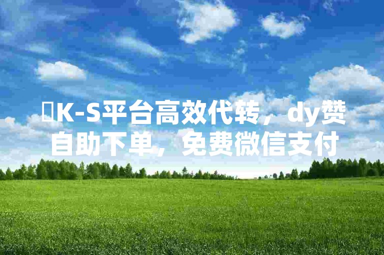 ✨K-S平台高效代转，dy赞自助下单，免费微信支付，助力您的业务高效运转✨