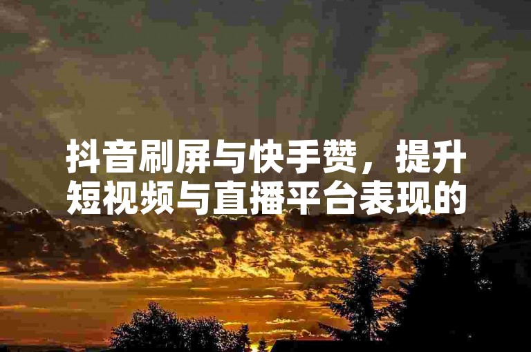 抖音刷屏与快手赞，提升短视频与直播平台表现的必修课✨
