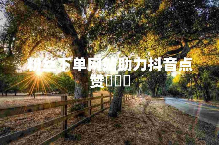 粉丝下单网站助力抖音点赞✨✨✨