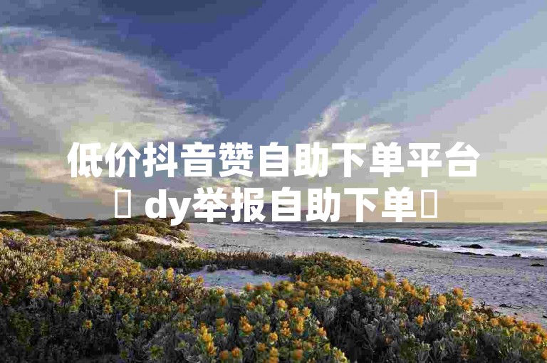 低价抖音赞自助下单平台✨ dy举报自助下单✨