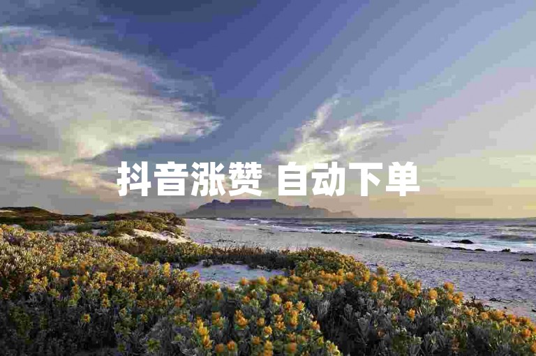 抖音涨赞 自动下单