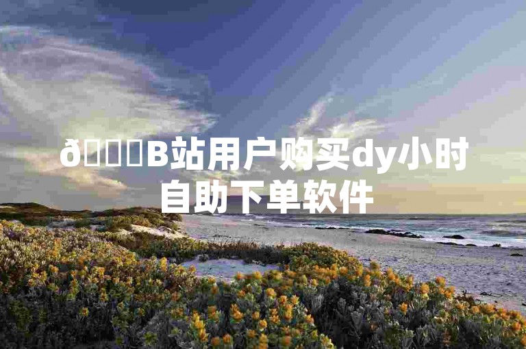 🚀B站用户购买dy小时自助下单软件