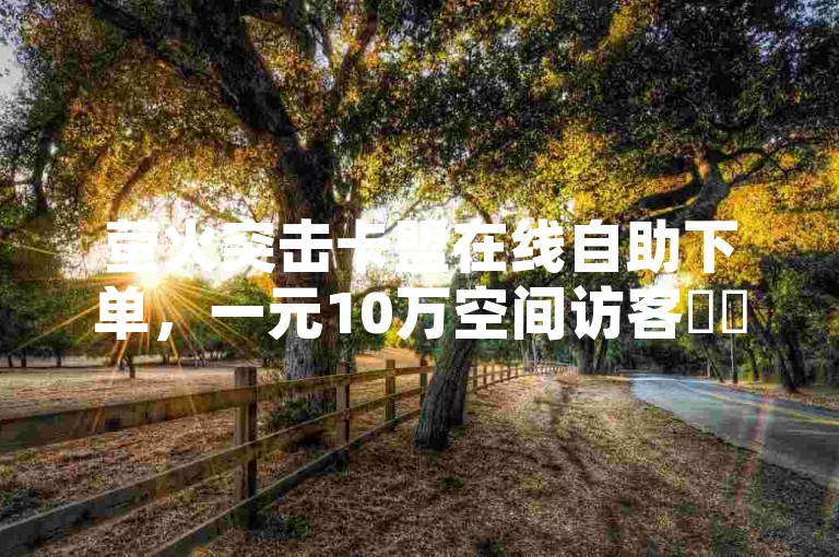 萤火突击卡盟在线自助下单，一元10万空间访客✨✨