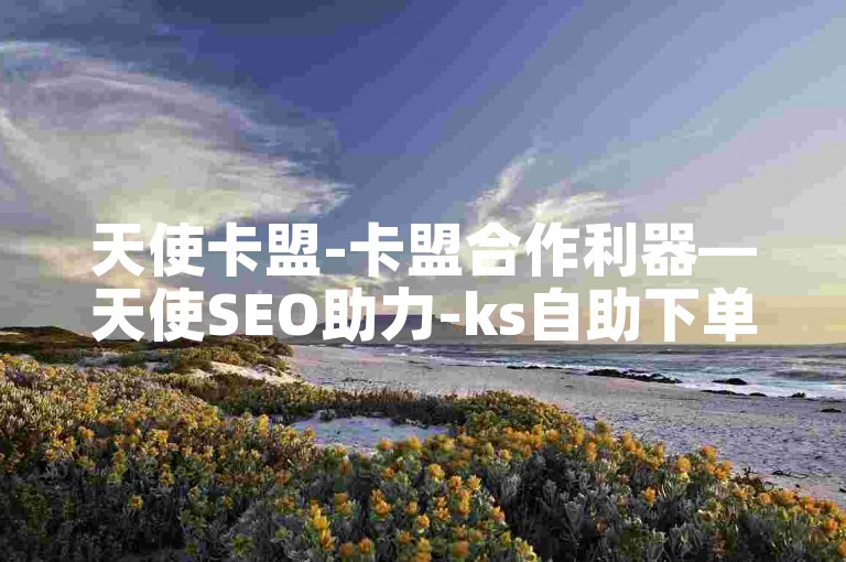 天使卡盟-卡盟合作利器—天使SEO助力-ks自助下单业-闲鱼低价自助下单24小时震撼来袭！