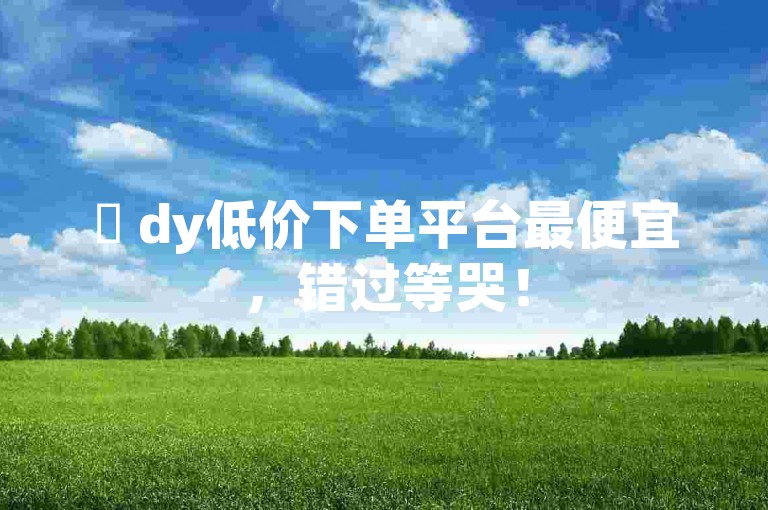 ✨ dy低价下单平台最便宜，错过等哭！