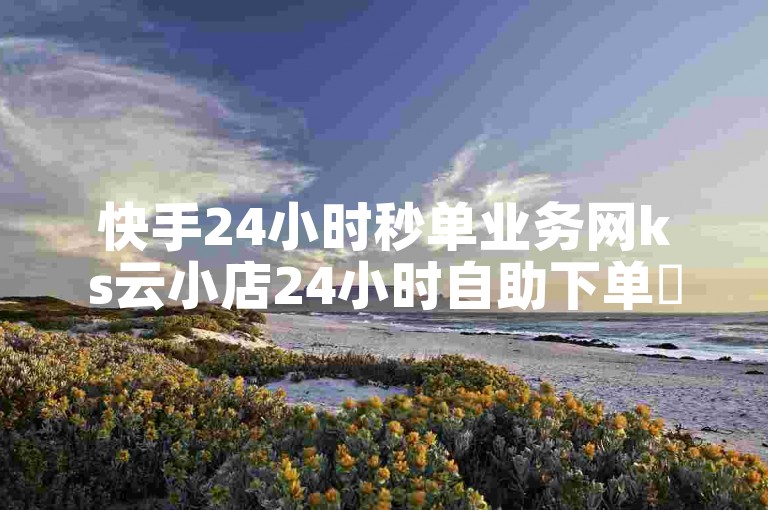 快手24小时秒单业务网ks云小店24小时自助下单✨✨