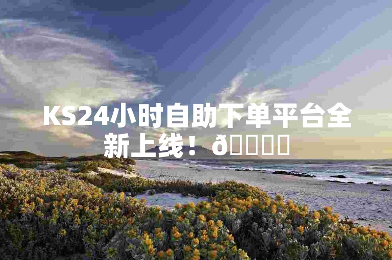KS24小时自助下单平台全新上线！🚀✨