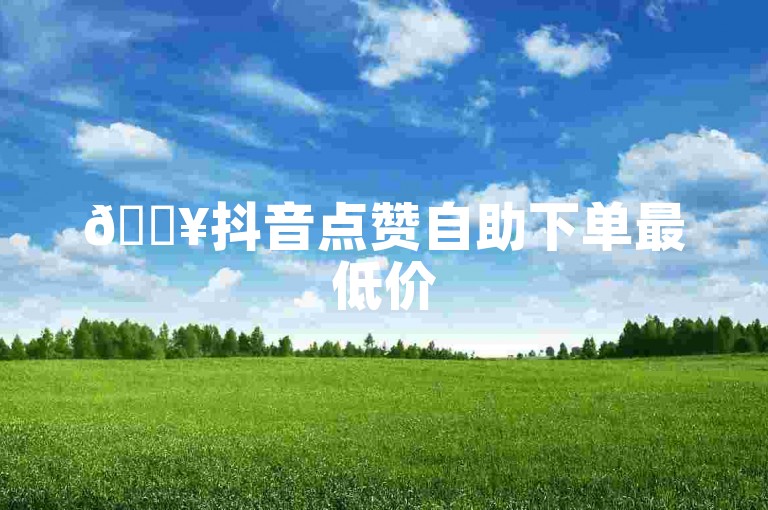 🔥抖音点赞自助下单最低价