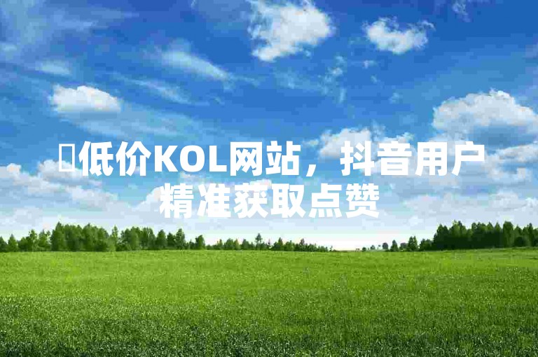 ✨低价KOL网站，抖音用户精准获取点赞
