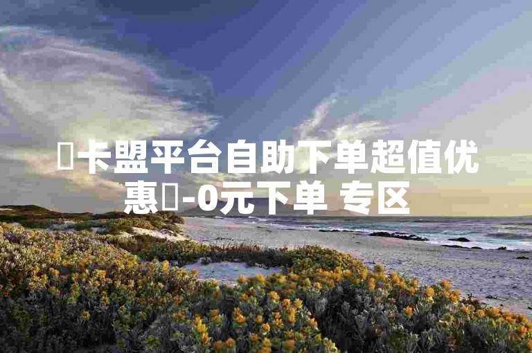 ✨卡盟平台自助下单超值优惠✨-0元下单 专区