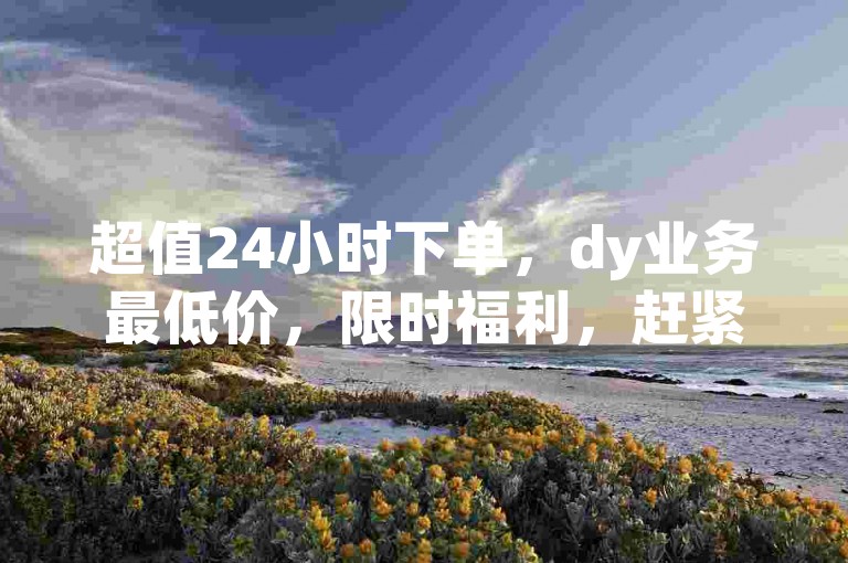 超值24小时下单，dy业务最低价，限时福利，赶紧下单！✨✨✨