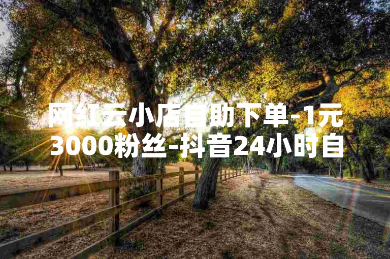 网红云小店自助下单-1元3000粉丝-抖音24小时自助点赞下单-抖音点赞在线✨✨