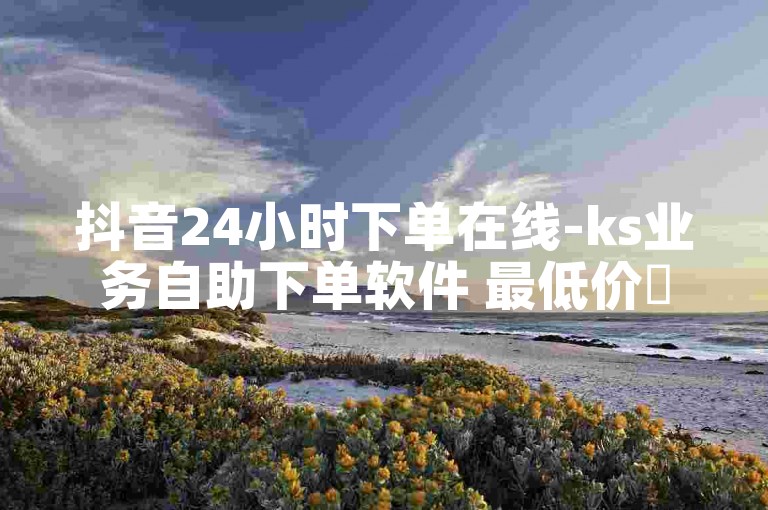 抖音24小时下单在线-ks业务自助下单软件 最低价✨🔥