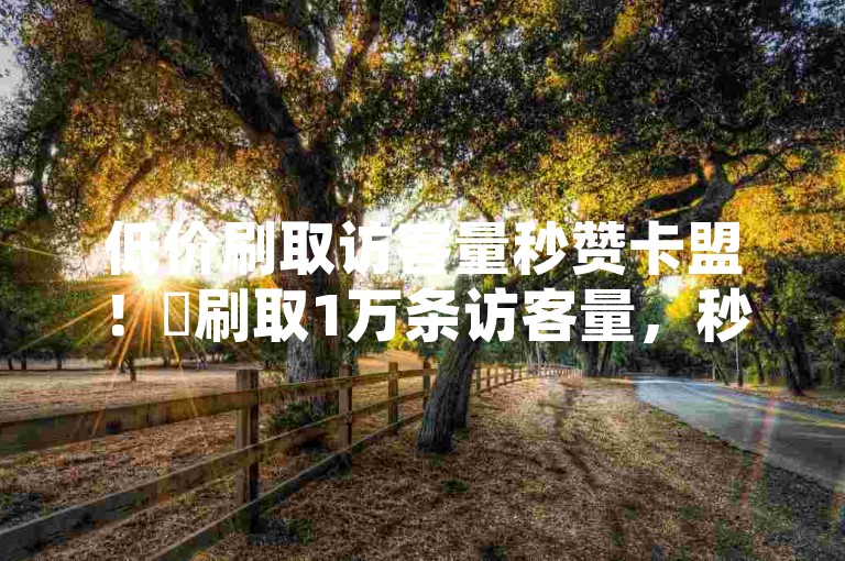 低价刷取访客量秒赞卡盟！✨刷取1万条访客量，秒赞卡盟，秒杀！✨