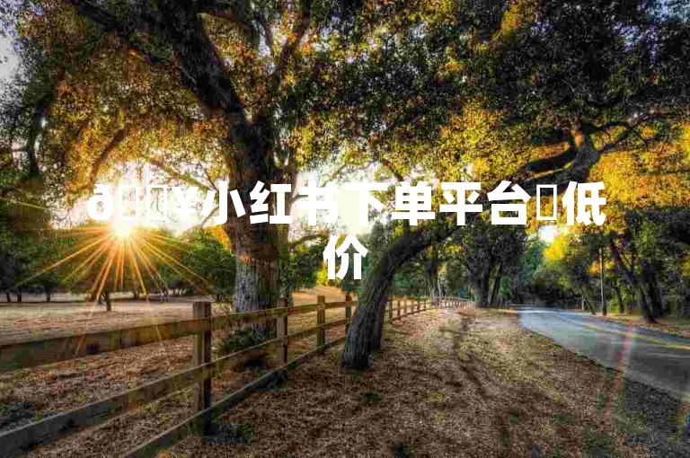 🔥小红书下单平台✨低价