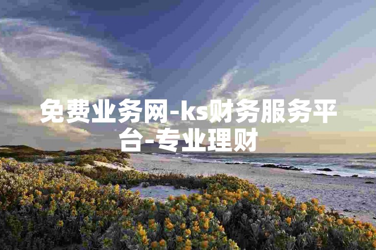 免费业务网-ks财务服务平台-专业理财