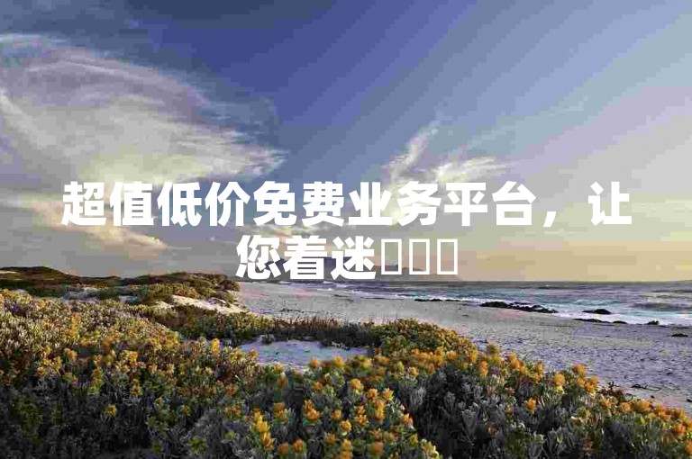 超值低价免费业务平台，让您着迷✨✨✨