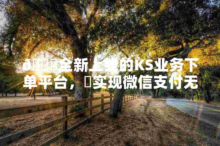🚀全新上线的KS业务下单平台，✨实现微信支付无缝对接，🌟开启便捷购物新体验！✨