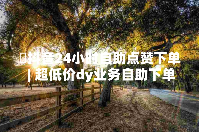 ✨抖音24小时自助点赞下单 | 超低价dy业务自助下单平台雷神