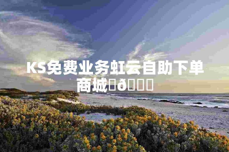 KS免费业务虹云自助下单商城✨😊