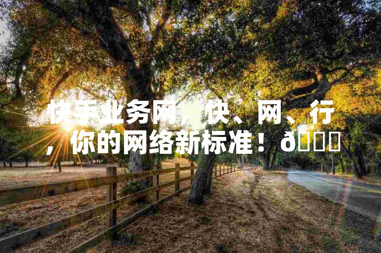 快手业务网，快、网、行，你的网络新标准！🚀✨