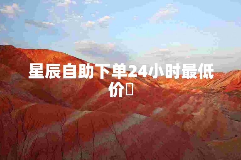 星辰自助下单24小时最低价✨