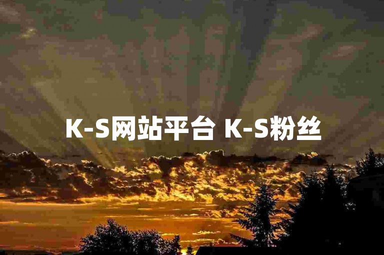 K-S网站平台 K-S粉丝