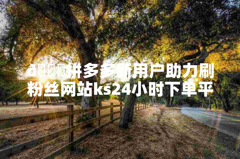 🚀拼多多新用户助力刷粉丝网站ks24小时下单平台抖音自助平台真人支持