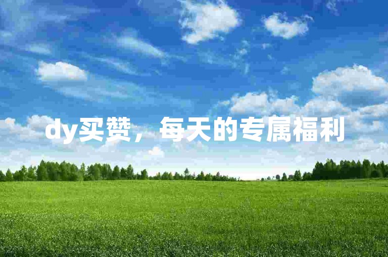 dy买赞，每天的专属福利