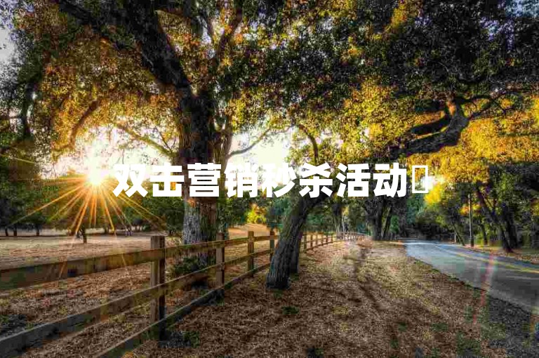 双击营销秒杀活动✨