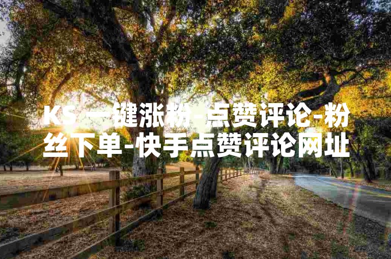 KS 一键涨粉-点赞评论-粉丝下单-快手点赞评论网址是什么✨✨✨✨✨✨