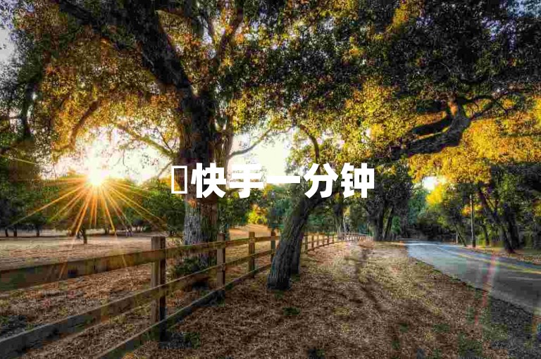 ✨快手一分钟500赞软件下载✨