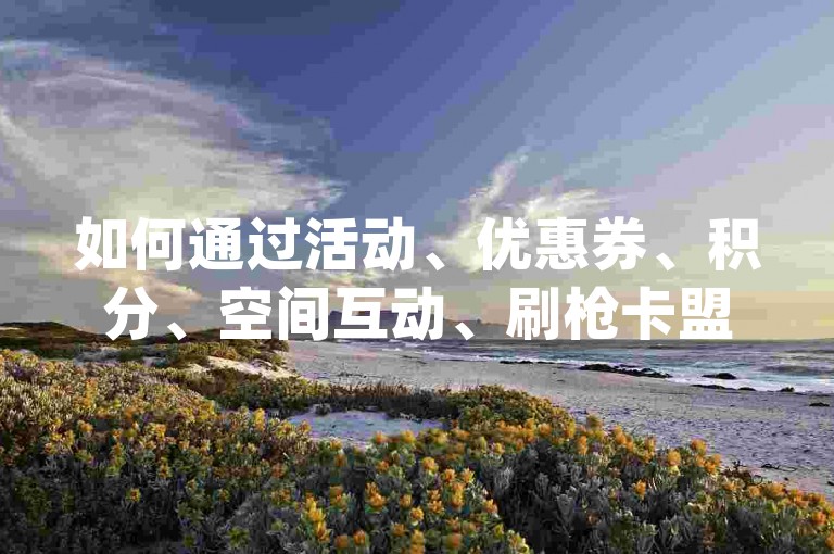 如何通过活动、优惠券、积分、空间互动、刷枪卡盟等途径，提升粉丝量、q币充值卡、访客量和网站流量✨✨✨✨✨✨