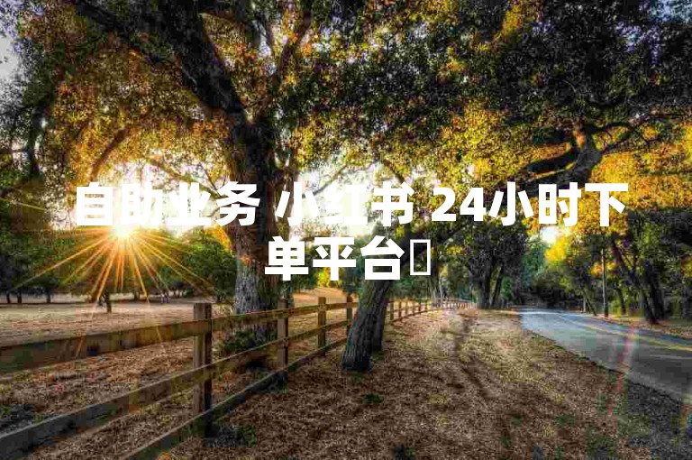自助业务 小红书 24小时下单平台✨