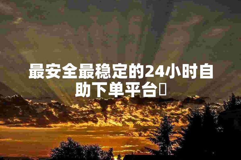 最安全最稳定的24小时自助下单平台✨